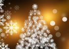 christmas-tree-g9b76633d8_1920.jpg