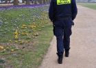 krokusy-patrol 2.jpg